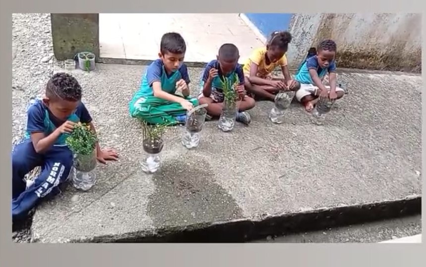 Niños plantando árboles en botellas recicladas en el colegio